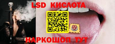прущие грибы Заволжье
