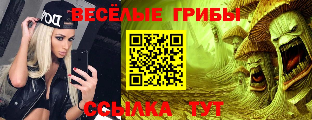 Мыски  Псилоцибиновые грибы Psilocybe  Вход с VPN  Галлюциногенные грибы GOLDEN TEACHER 
